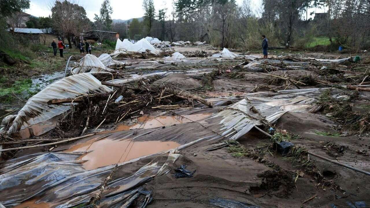 Köyceğiz’de Sel Felaketi Seraları Vurdu: Üretici Zorlandı, Fiyatlar Artışta 2